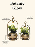 Botanic Glow